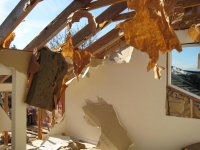 IMG_0711.jpg