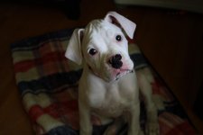 Chloe1.jpg