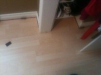 lamfloor.jpg