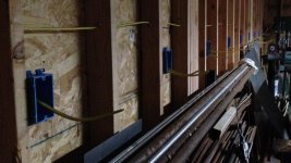 IMG_1384.jpg