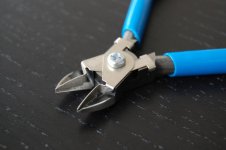 DSC_4679.jpg