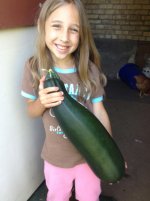 2015-Harvest10.jpg