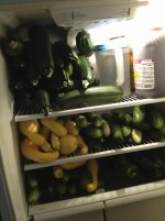 2015-Harvest02.jpg