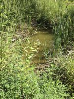 irrigation4.jpg