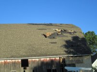 IMG_4371.jpg