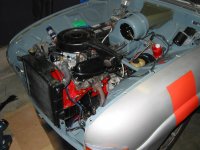 IMG_3445.jpg