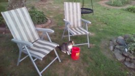 IMG_20150812_201052.jpg