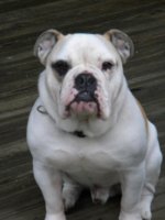 murph 004.jpg