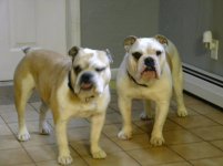murph 002.jpg