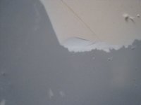 IMG_1324_rs.jpg