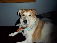 beccas pictures ! 029.jpg