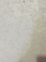 white-door.jpg