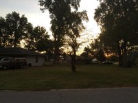 IMG_2664.jpg