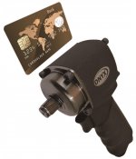 1822 with credit card.jpg