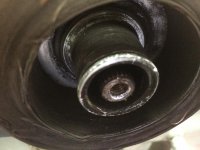 IMG_3980.jpg