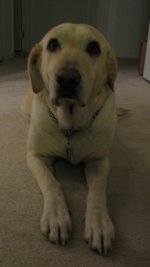 IMG_0706.jpg