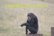 chimp.jpg