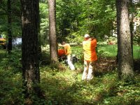 Surveyors02.jpg