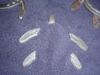 Flippers and head.jpg