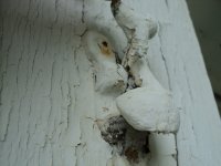 DSC07327.JPG