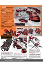 craftsman cat 2010.jpg