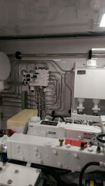 IMAG0809.jpg