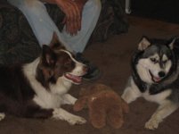 IMG_1965.jpg