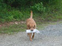 Duke w paper.jpg