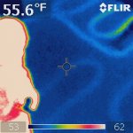 IR_0577.jpg
