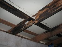 Ceiling2.jpg