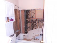 Front Bath Remodel - July 2011 003.jpg