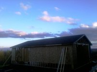 Phone Pictures 231.jpg