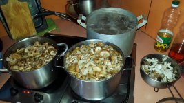 20150926_165820.jpg