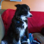 IMG_20150312_180051.jpg