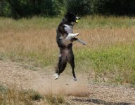 bigjump5.jpg