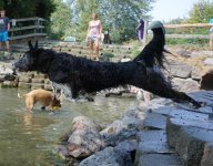 waterjump3.jpg