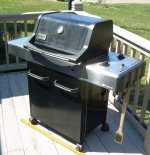 WeberGrill3.JPG