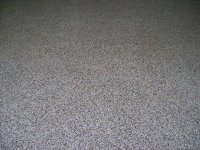 IMG_0011.JPG
