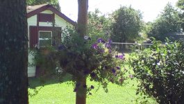 IMG_20150916_113939.jpg