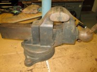 IMG_1090 (Medium).jpg IMG_1090 (Medium).jpg