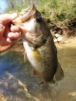 IMG_20150412_133855.jpg