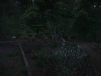 MVC-020F.JPG