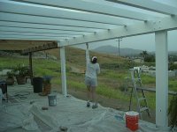 patio paint shay2-web.JPG