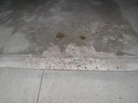 DSC01707.jpg