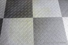 20100505--13153448.JPG