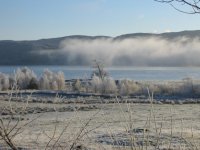view from home.jpg