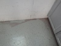 DSC01270.JPG