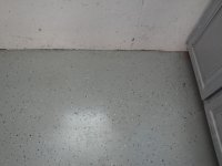 DSC01271.JPG