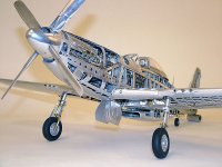 mustang skeleton.jpg