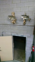 GARAGE 30.jpg